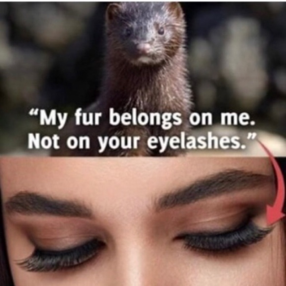 SAY NO TO MINK 👁️ EYELASHES 🙅‍♂️🙅‍♀️🙅
‼️NOT FOR SALE‼️